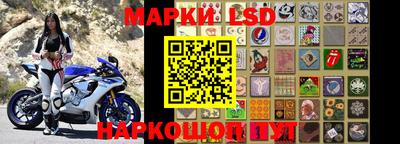 ALPHA PVP Гатчина