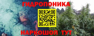 спайс Гагарин
