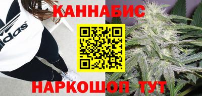 ALPHA PVP Гатчина