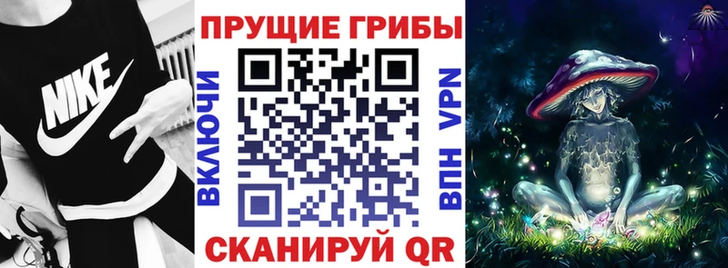 ОМГ ОМГ онион Тольятти Галлюциногенные грибы Cubensis