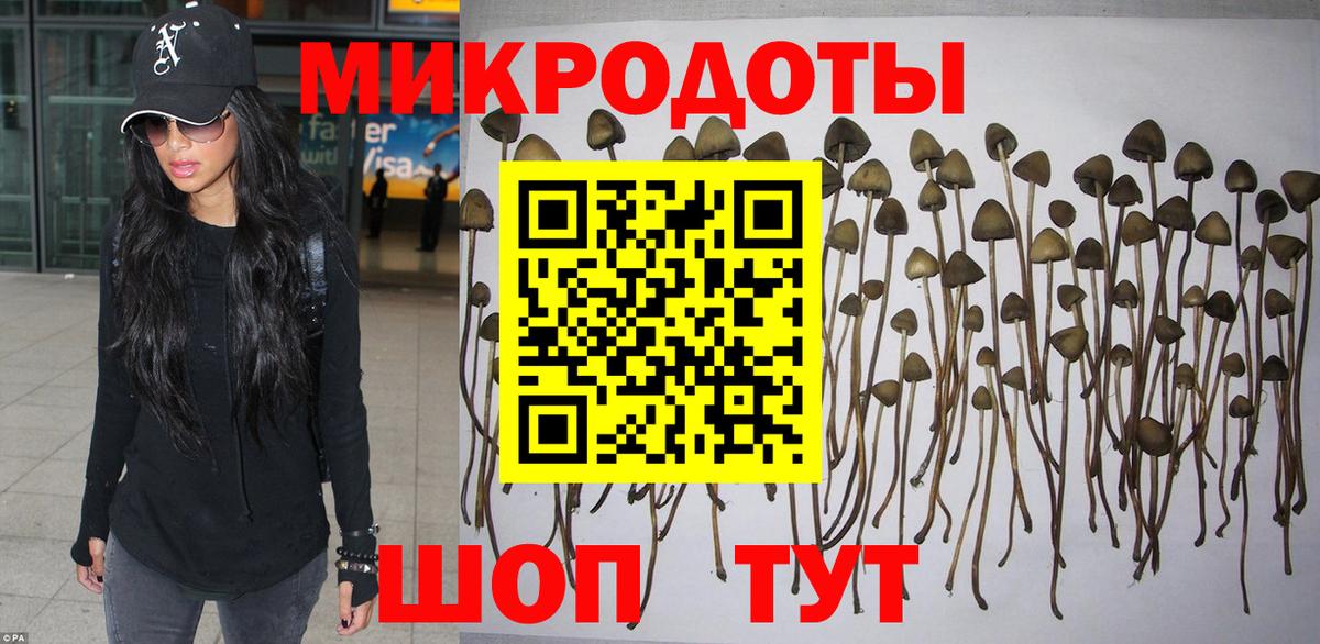 Галлюциногенные грибы прущие грибы Тольятти
